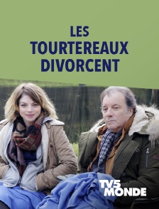 TV5MONDE - Les tourtereaux divorcent