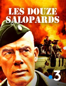 France 3 - Les douze salopards