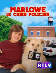 RTL 9 - Marlowe, le chien policier