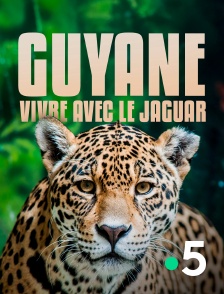 France 5 - Guyane, vivre avec le jaguar