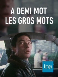 INA - A demi mot les gros mots