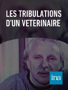 INA - Les tribulations d'un vétérinaire