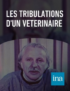 INA - Les tribulations d'un vétérinaire en replay