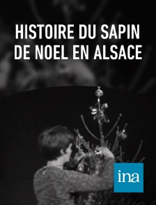 INA - Histoire du sapin de noël en Alsace