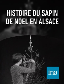 INA - Histoire du sapin de noël en Alsace