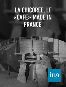 INA - La chicorée, le «café» made in France