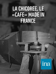 INA - La chicorée, le «café» made in France