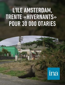 INA - L'île Amsterdam, trente «hivernants» pour 30 000 otaries