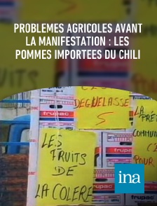 INA - Problèmes agricoles avant la manifestation : les pommes importées du Chili