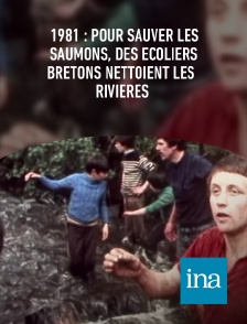 INA - 1981 : pour sauver les saumons, des écoliers bretons nettoient les rivières