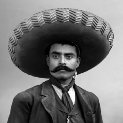 Emiliano Zapata - Politique