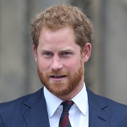 Prince Harry - Aristocrate