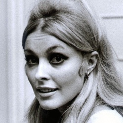 Sharon Tate - Actrice