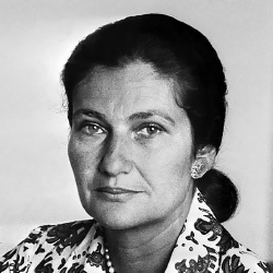 Simone Veil - Politique