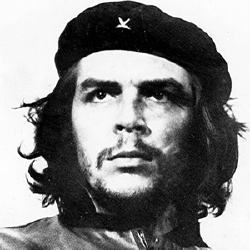 Che Guevara - Politique