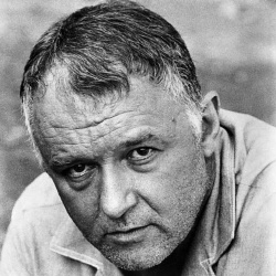 Rod Steiger - Acteur