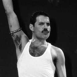 Freddie Mercury - Chanteur