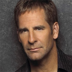 Scott Bakula - Guest star