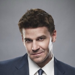 David Boreanaz - Réalisateur