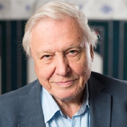 David Attenborough - Rédacteur en chef