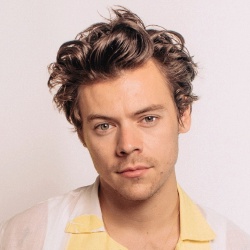 Harry Styles - Acteur