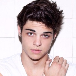 Noah Centineo - Acteur