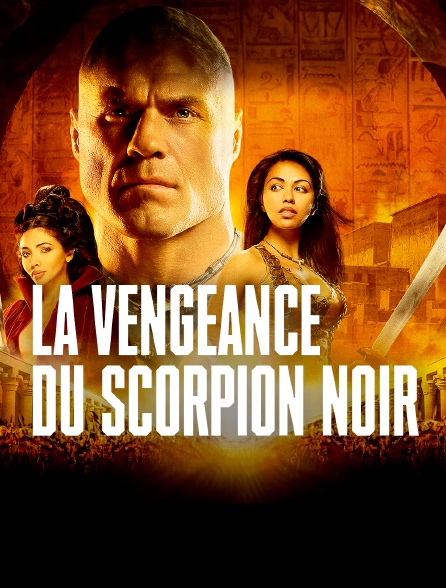 La vengeance du scorpion noir