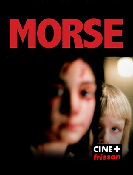 CINE+ Frisson - Morse