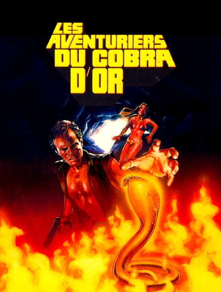 Les aventuriers du cobra d'or