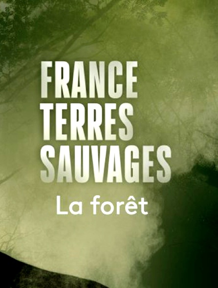 France Terre Sauvage : La Forêt