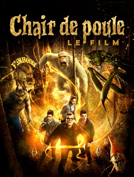 Chair de poule : le film