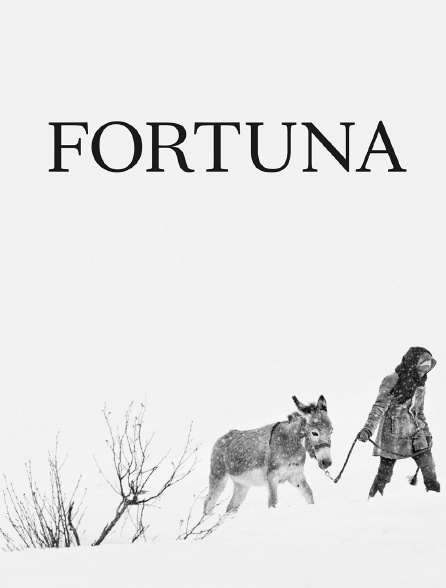 Fortuna