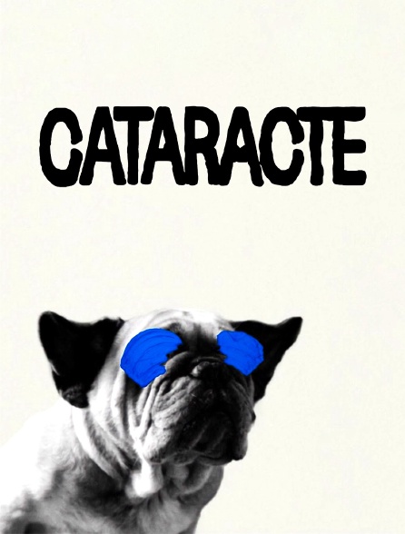 Cataracte