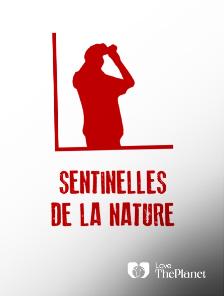 Love the Planet - Sentinelles de la nature