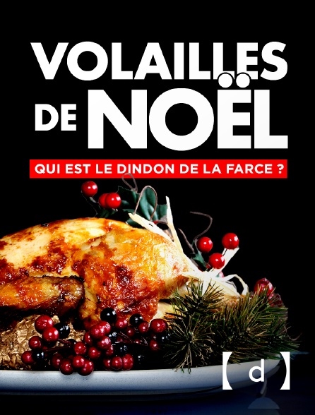 France TV Docs - Volailles de Noël : qui est le dindon de la farce ?