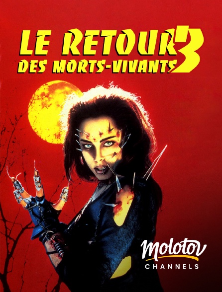 Molotov channels - Le retour des morts-vivants 3