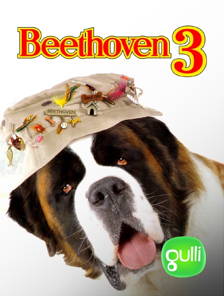 Gulli - Beethoven 3