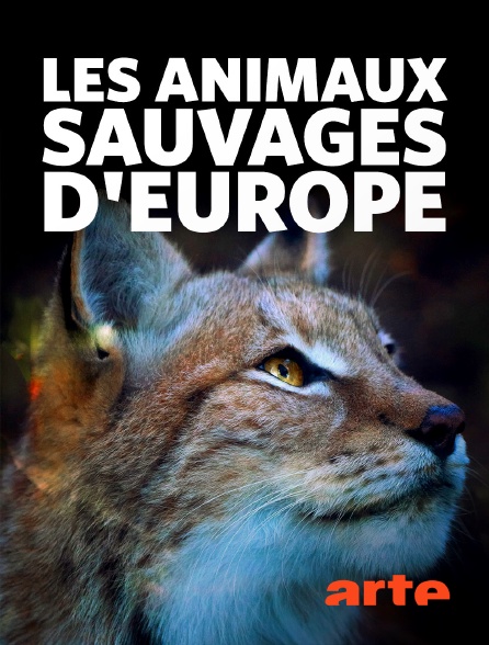 Arte - Les animaux sauvages d'Europe - 06/09/2024 à 15h50