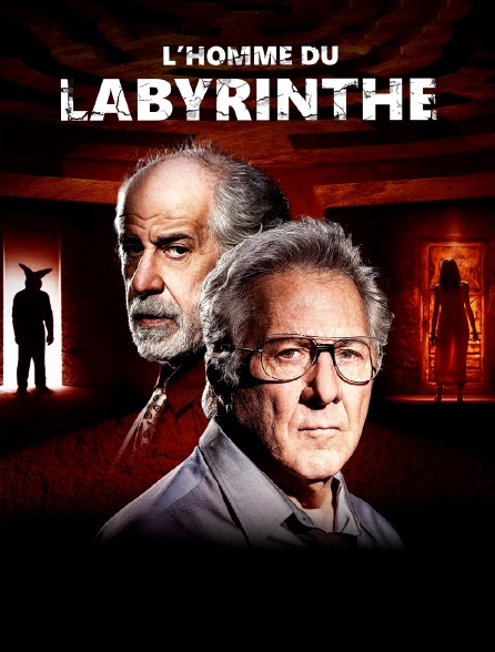 L'homme du labyrinthe