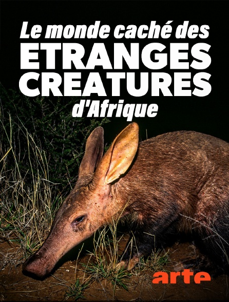 Arte - Le monde caché des étranges créatures d'Afrique