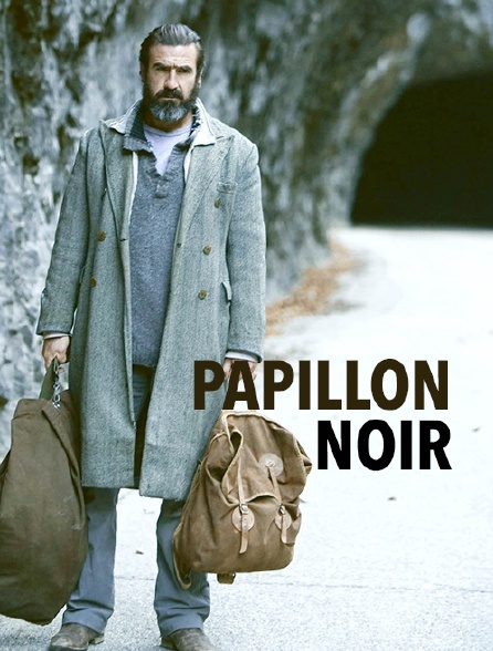 Papillon noir