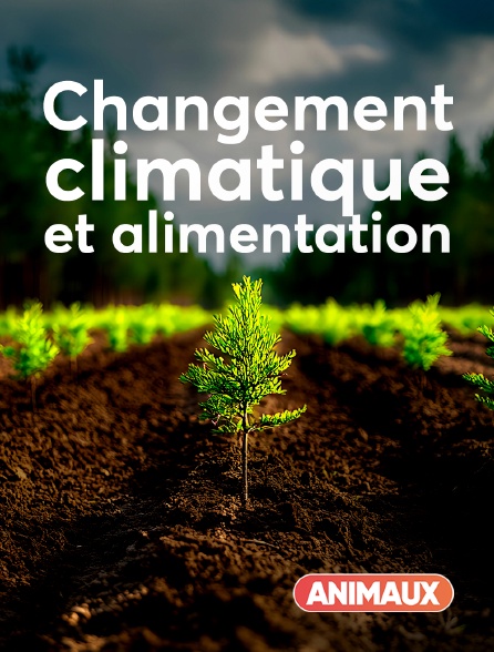 Animaux - Changement climatique et alimentation