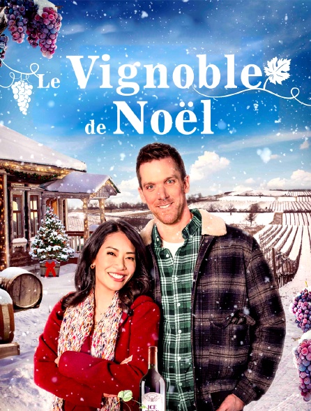 LE VIGNOBLE DE NOEL