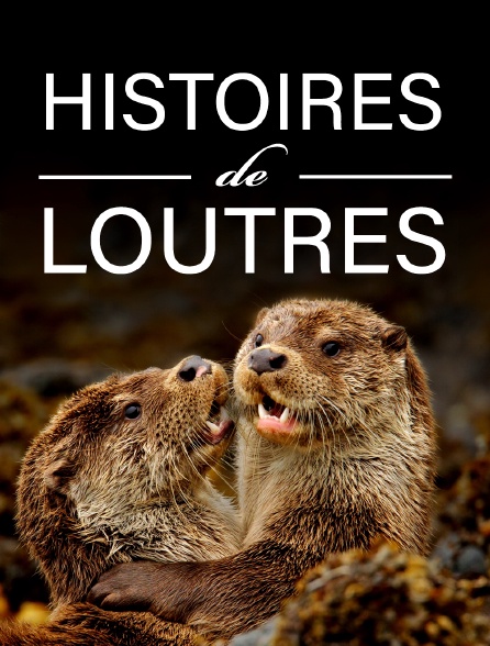 Histoires de loutres