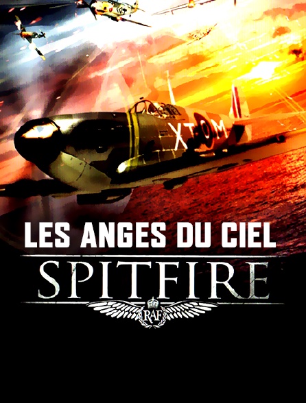 Spitfire, les anges du ciel