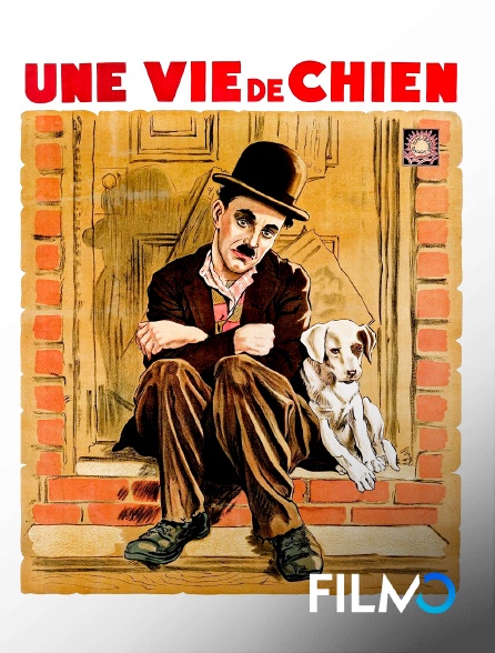 FilmoTV - Une vie de chien