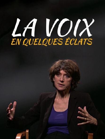 La voix en quelques éclats