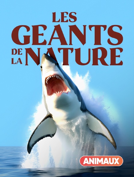 Animaux - Les géants de la nature