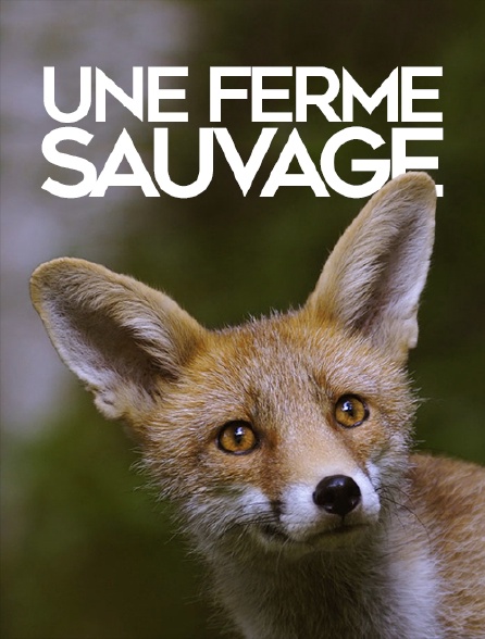 Une ferme sauvage