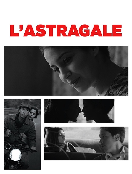 L'astragale